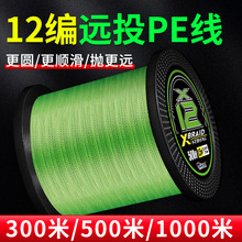 300��500��1000��12��·������pe�����hͶ��ڴ����R�~����Ʒ