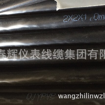 供应计算机电缆DJYPVP3*2*1.0