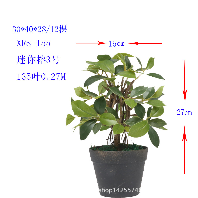 XRS-155 迷你榕叶3号盆栽135叶0.27米.jpg