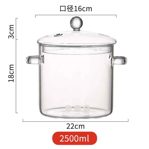 2.5L classic model