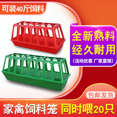 Raising chickens household Food trough breed equipment Duck Chicken feed automatic Drink plenty of water Water dispenser Good-looking