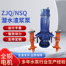 ZJQ潛水渣漿泵NSQ200-480抽砂耐磨泥砂泵礦山帶攪拌輪邊立式水泵