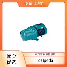 ����� calpeda ѭ������ѭ���� MXVL 100-6507-2R �����