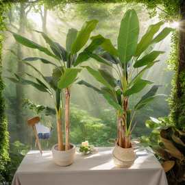 仿真芭蕉树旅人蕉假绿植盆栽摆件室内盆栽花盆装饰盆景假树制作