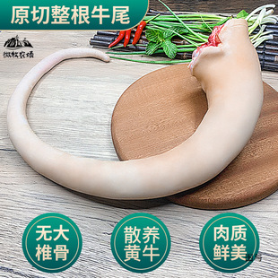 3��ţβ�����r������Ƥ�Sţβ ���lţβ�ǌ������Bţ����S���]