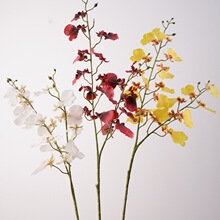 ��Ʒ�|���滨�ָб��������m�����m�ָб����m���Ҿ��b�Y����