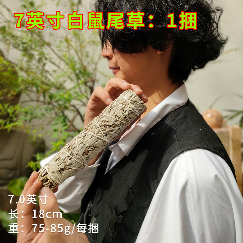 国境を越えた卸売り白鼠尾草青鼠尾草雪松杖聖木線香塔香アワビ殻などホワイトセージ|undefined