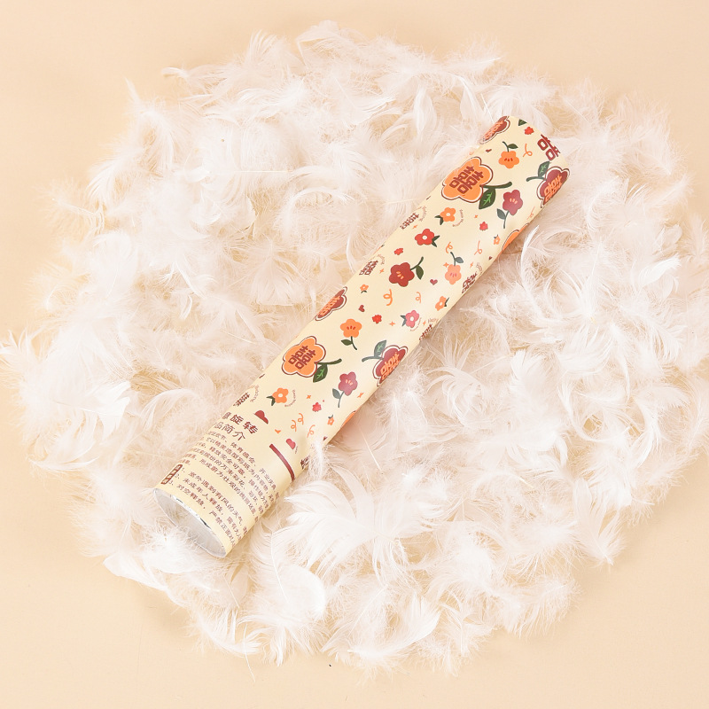 Plumas de regalo de casamiento de mano de regalo de cumpleaños de transmisión directa de regalo