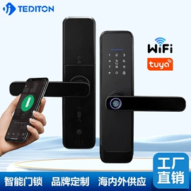 指纹锁;密码锁;家具锁办公锁
