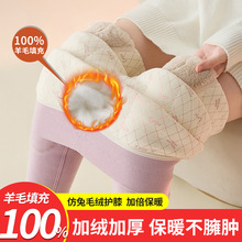 羊毛高腰大码棉裤保暖裤女内穿冬季东北特厚加绒打底秋裤一件代发
