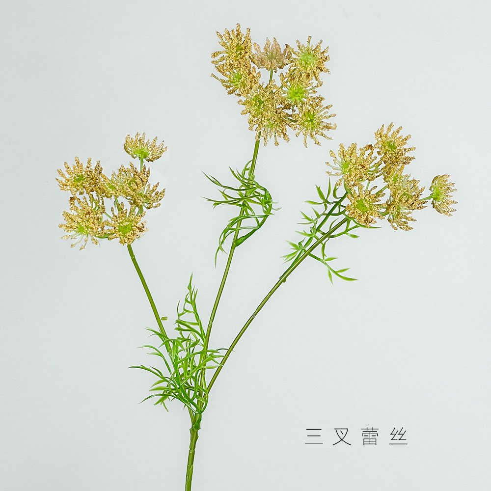 오렌지색 3갈래 레이스 꽃