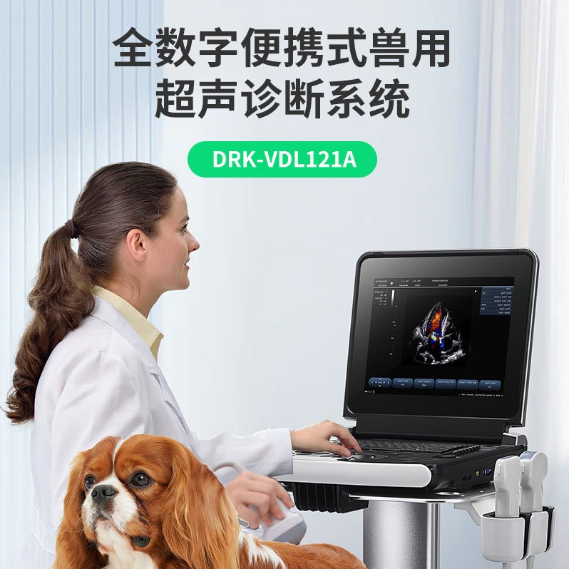 便携式笔记本黑白超宠物犬猫超声B超仪便携测孕检测机兽用高清