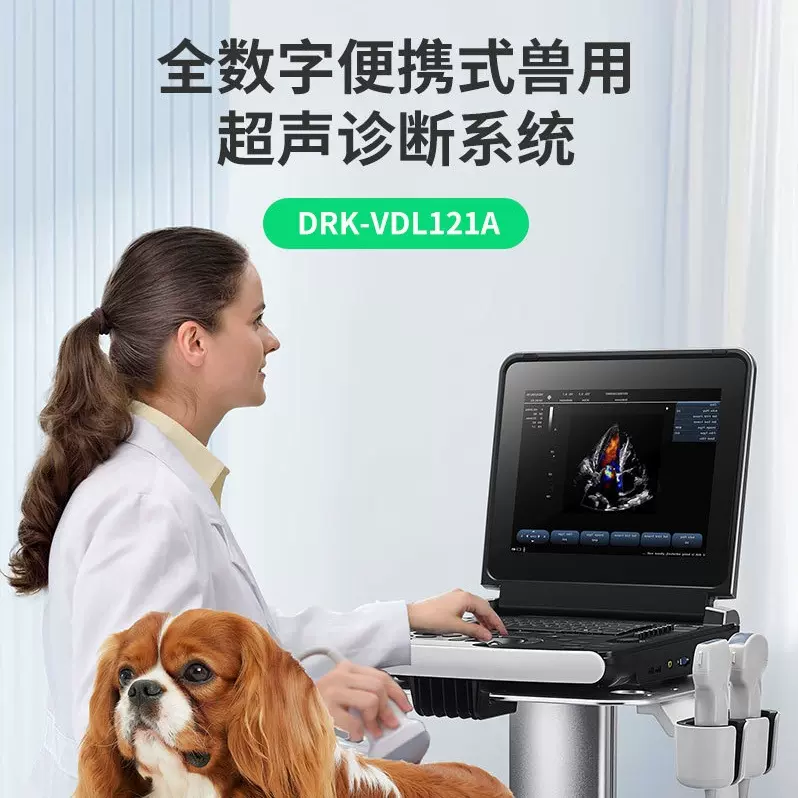 便携式笔记本黑白超宠物犬猫超声B超仪便携测孕检测机兽用高清