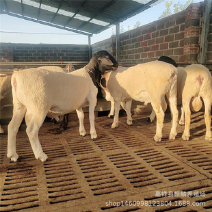 ������d�������� �Ų��d���Сβ�����ǂ������ �L�ݿ�