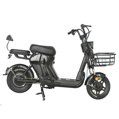 Flash New National Standard – Elektrikli motosikletlər