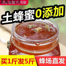 ��ɽҺ�w��������Ȼ�r���Ԯa���N��ٻ��ۗ�������