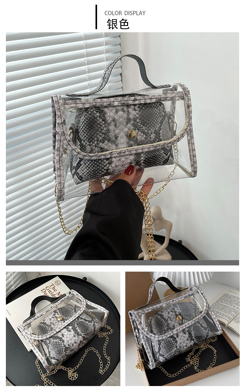 Fashion Style Snake Pattern Transparent Messenger Bag display picture 7