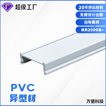 专业工厂开模定制PVC冷顶塑钢异型材PC型材ABS冷顶室内户外美观件