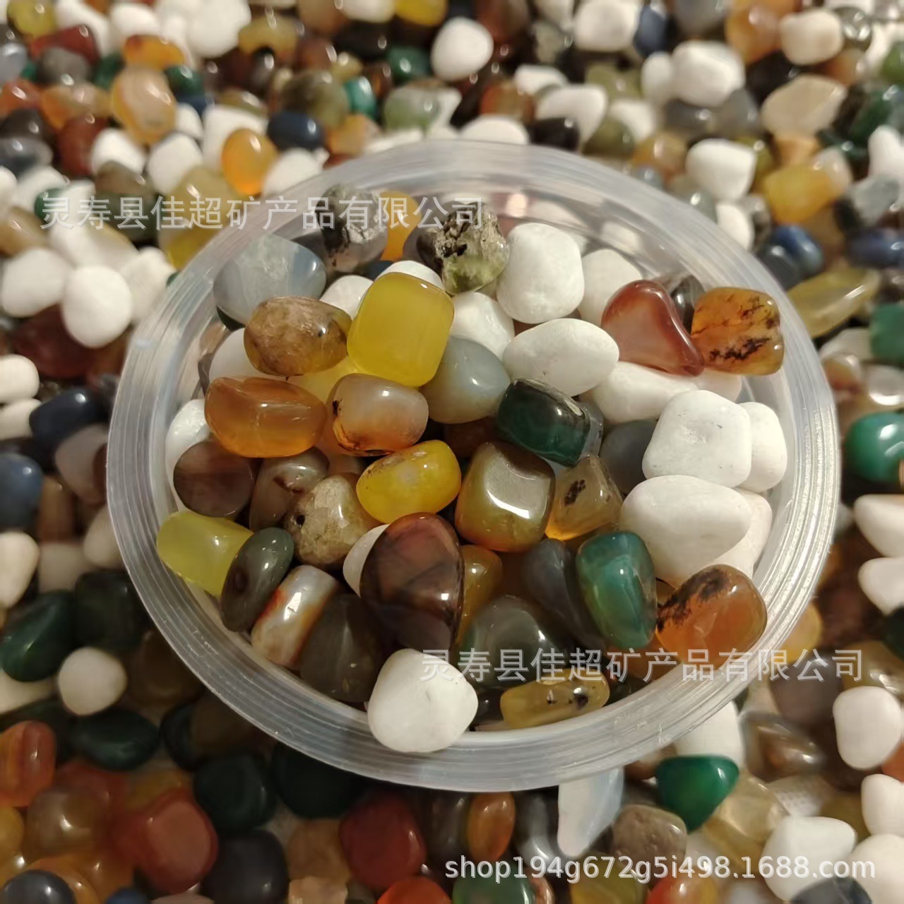 微信图片_20250223214739