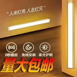 LED人体感应灯磁吸充电衣橱灯学生宿舍小夜灯跨境长条灯可调光