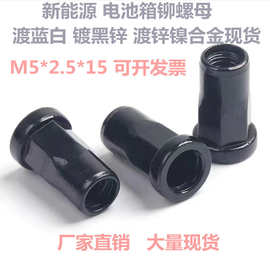 温州生产厂家直销 新能源电池箱铆螺母 平头半六角M5*2.5*15 镀黑