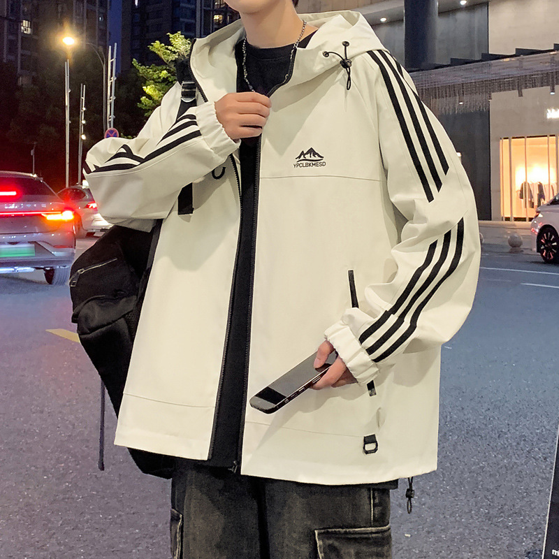 미색 봄 신상