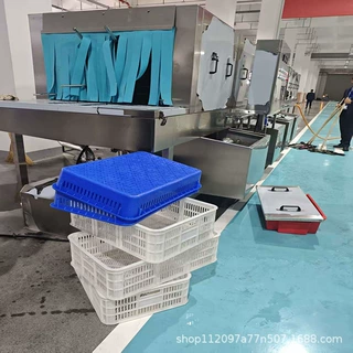 定制多种规格连续式塑料托盘清洗机跨境供货