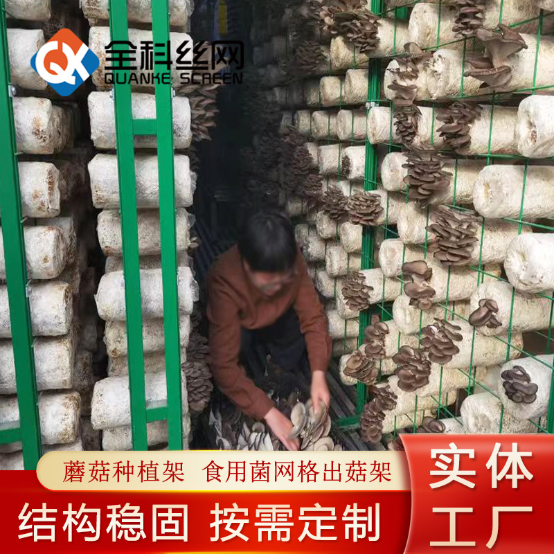 食用菌网片出菇房网架网格蘑菇养殖网片绿色网片喷塑浸塑网片