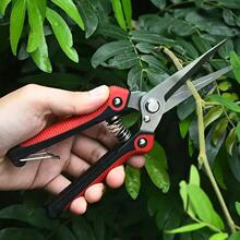 �S�����l�@����֦�� ��ժ�����֦�辰���߼���ժ����