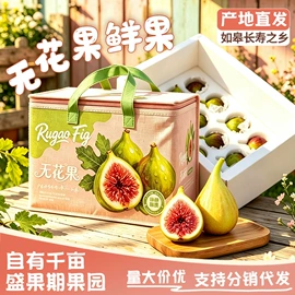 无花果干;其他果干蜜饯;桃干