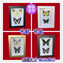 �挍�����˱��ɔ[�ɒ�����������չ�������/���L�����