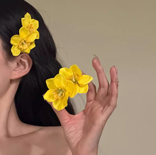 �����Sɫ�p������l�A�����ɐۂ�߅�A�l��