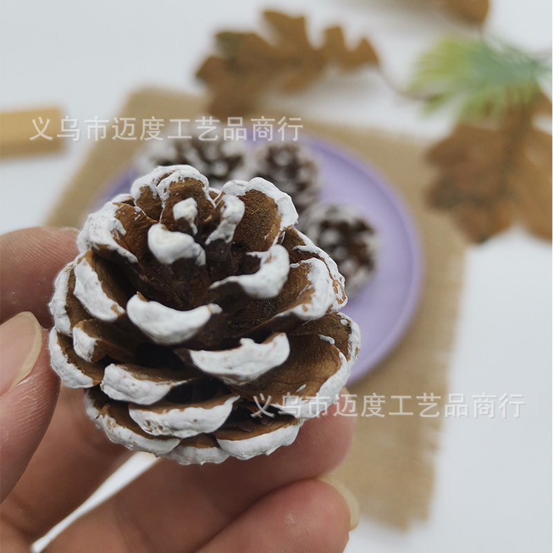 3-4cm oil pine [20 pieces of white white]