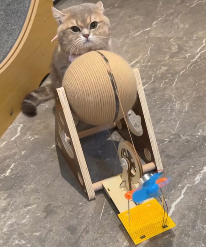 子猫発電機サイザル麻ロープ猫スクラッチボード耐摩耗性非脱落垂直猫スクラッチボール猫の爪研ぎ退屈解消おもちゃ|undefined