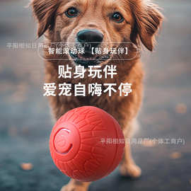 跨境爆款自动逗猫球自嗨解闷神器跳跳球滚滚球猫咪玩具球宠物用品