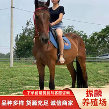 �����T���R�Bֳ�� �����R���R �ɹ��R�W�R �����R �������R�Bֳ��