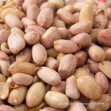 خaϳʮ 㻨¾С500g Ʒr