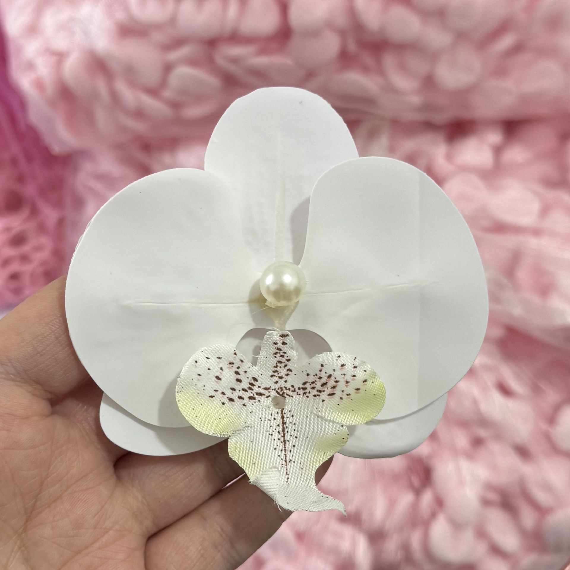 달빛 흰색