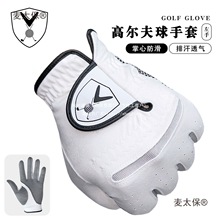 ߠ׷ĥ͸п ֆֻwϴC̫