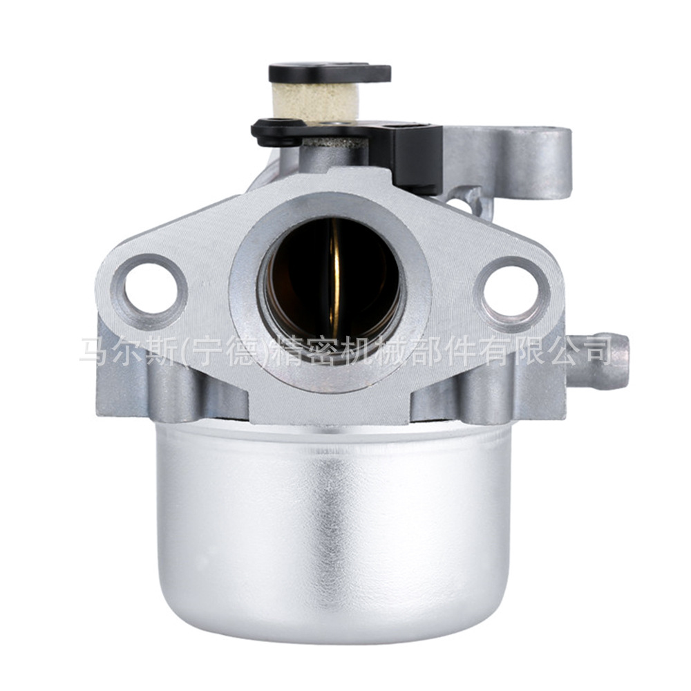 799871 Carburetor for Bs 790845 126m02 799866 796707 Carburetor