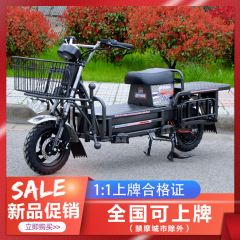 重王電動バイク60v72v電気自動車長距離走王の出前貨物宅配便の荷引き力神路覇