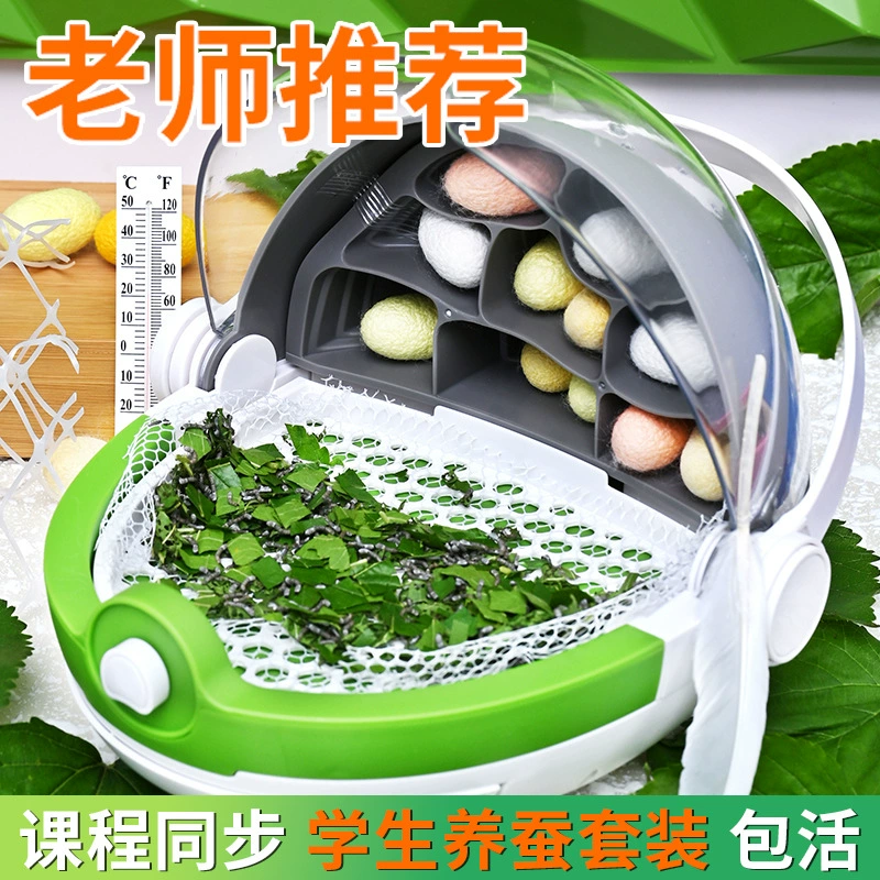 Детский шелкопряд Студенческий набор для выращивания шелкопряда