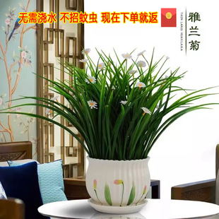 �G�}�Gֲ�辰��ֲ��Ҿӿ͏d�b����Ԕ[�O�k���Ҕ[��