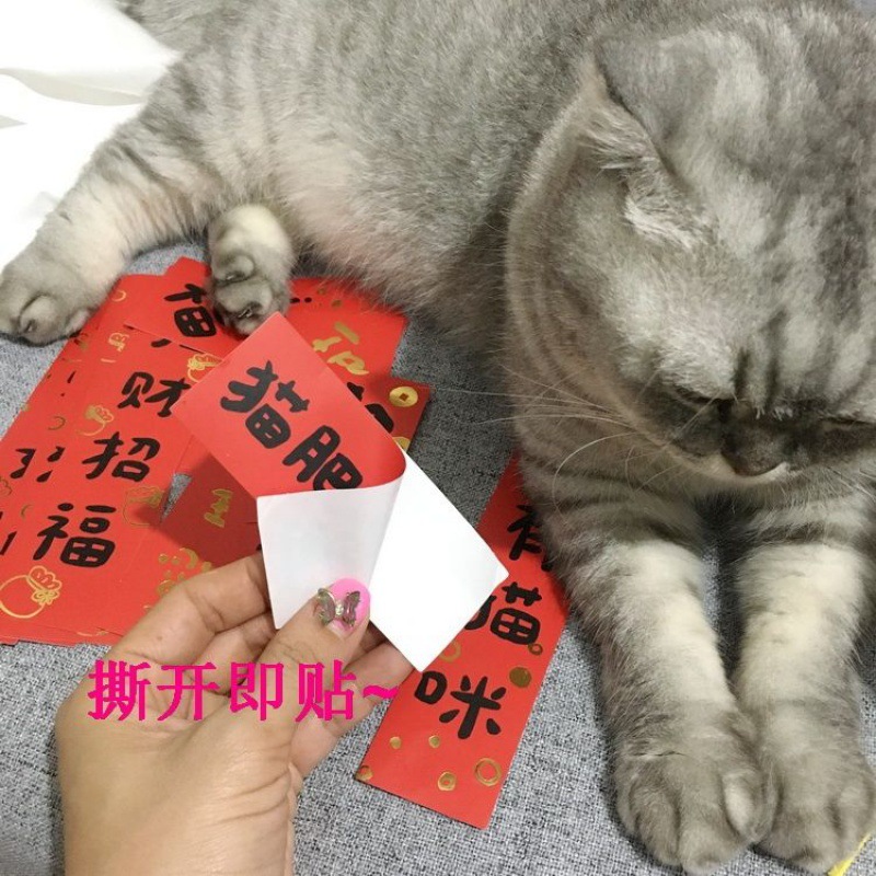 猫砂盆对联猫迷你网红文字祝福年红猫肥家润装饰爱豆装饰跨境