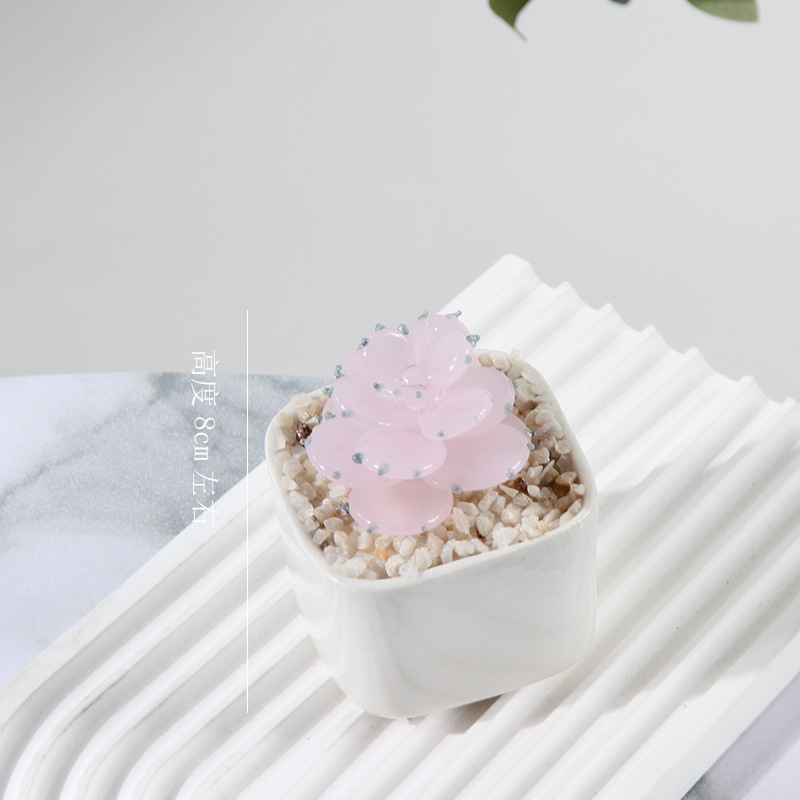 Carnoso - Pata de oso - Rosa