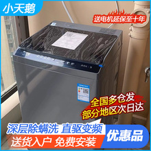 小天鹅 8公斤全自动家用变频波轮洗脱一体TB80V23DB