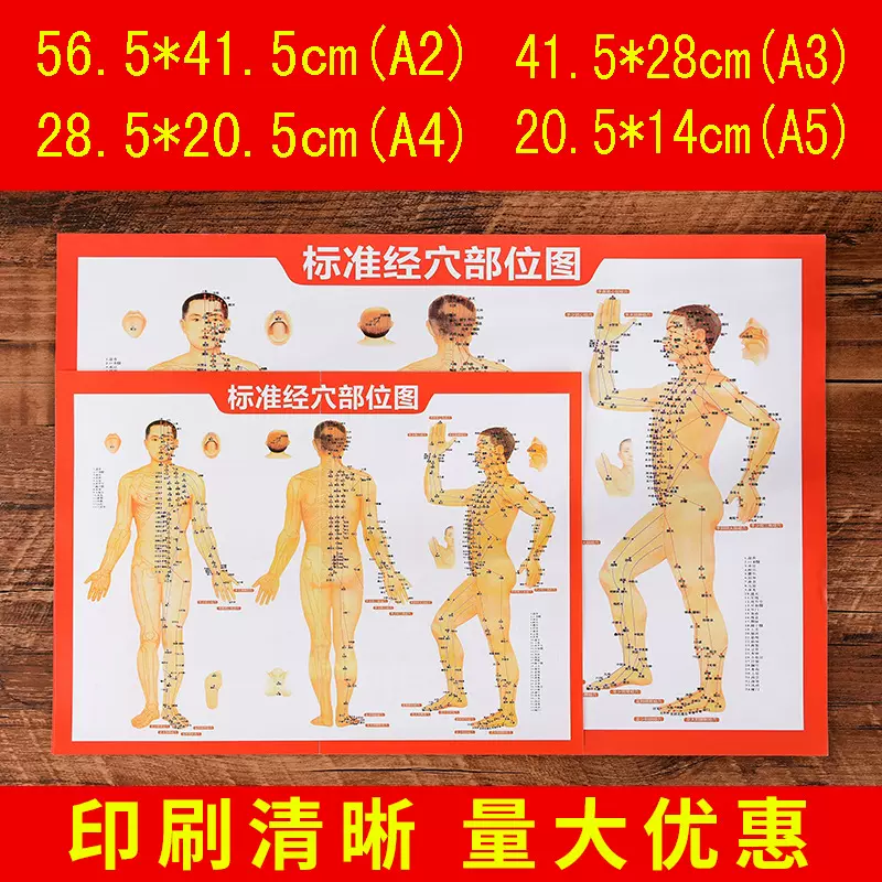 穴位图经络图人体图日产十万张工厂保健图挂画经络穴位图