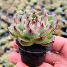 ̿�d����I�B��������|����K�������Ժ��d���B�Nֲ̼�ޟo��