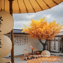 ���������y�Ә�ט������҃����b�٘��S��̈�ͥԺ�쾰