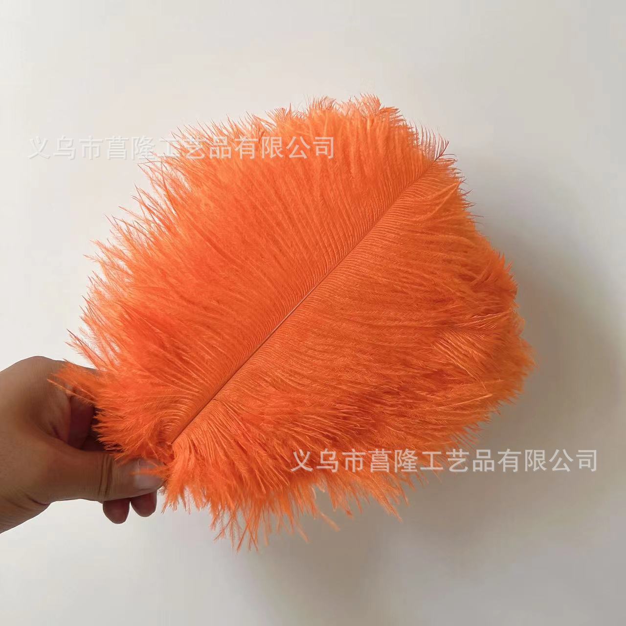 31eb58a9772294a40cf16a31e31145